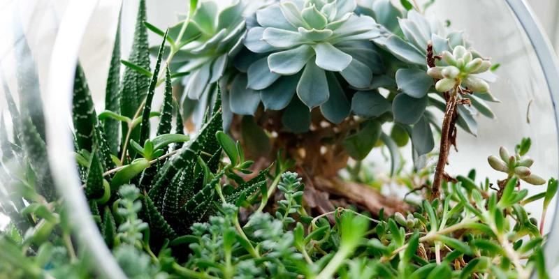 400G以太网部署实战指南：光模块选型、布线挑战与数据中心架构升级全解析