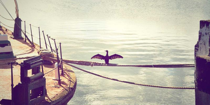 AIOps实战指南：构建从智能异常检测到精准根因分析的下一代运维平台