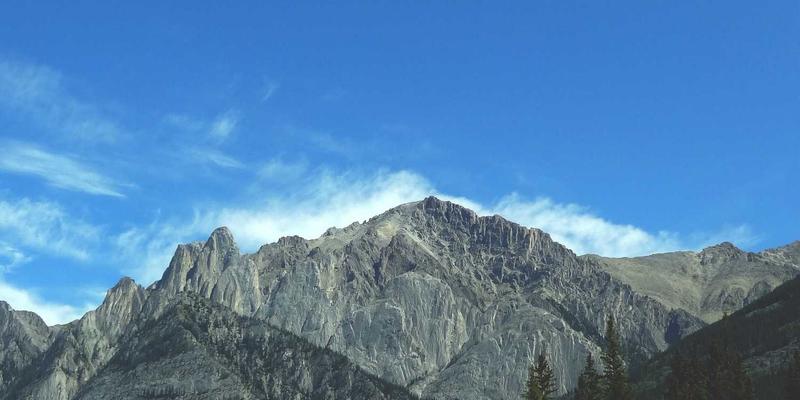 从传统监控到智能洞察：构建下一代网络可观测性体系的实战指南