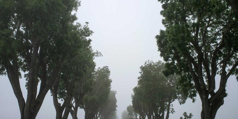 数据中心网络架构演进：从传统三层到叶脊（Spine-Leaf）架构的设计与迁移实战指南