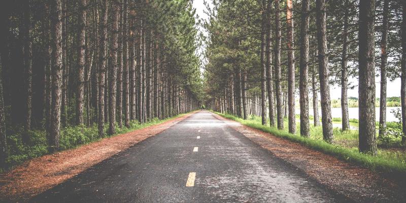 无线网络数字孪生：AI与仿真技术如何重塑WLAN与蜂窝网络的预测性优化