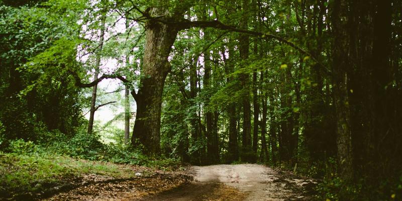 零信任网络架构(ZTNA)落地实战:从理念到实施的5大关键步骤与核心考量